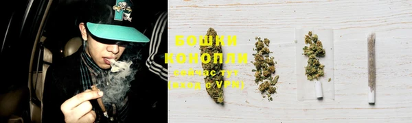 крисы Белоозёрский