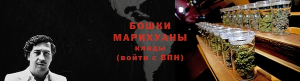 крисы Белоозёрский