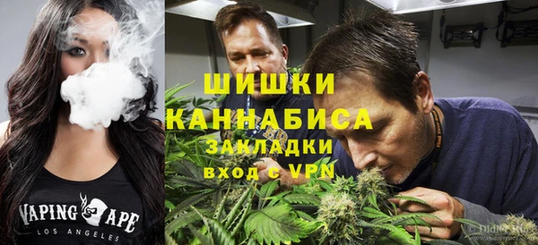 крисы Белоозёрский