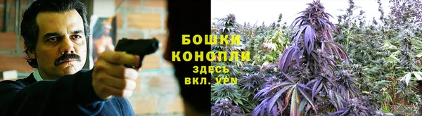крисы Белоозёрский